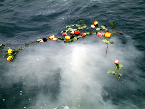 Burial At Sea - Memorial Cruise - Scatter Ashes at Sea