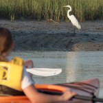 Home-Kayak
