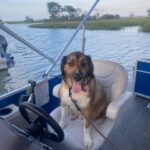 Pet friendly Express watersports