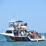 myrtle beach dolphin watch boat