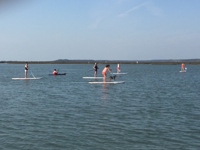 Paddle 1
