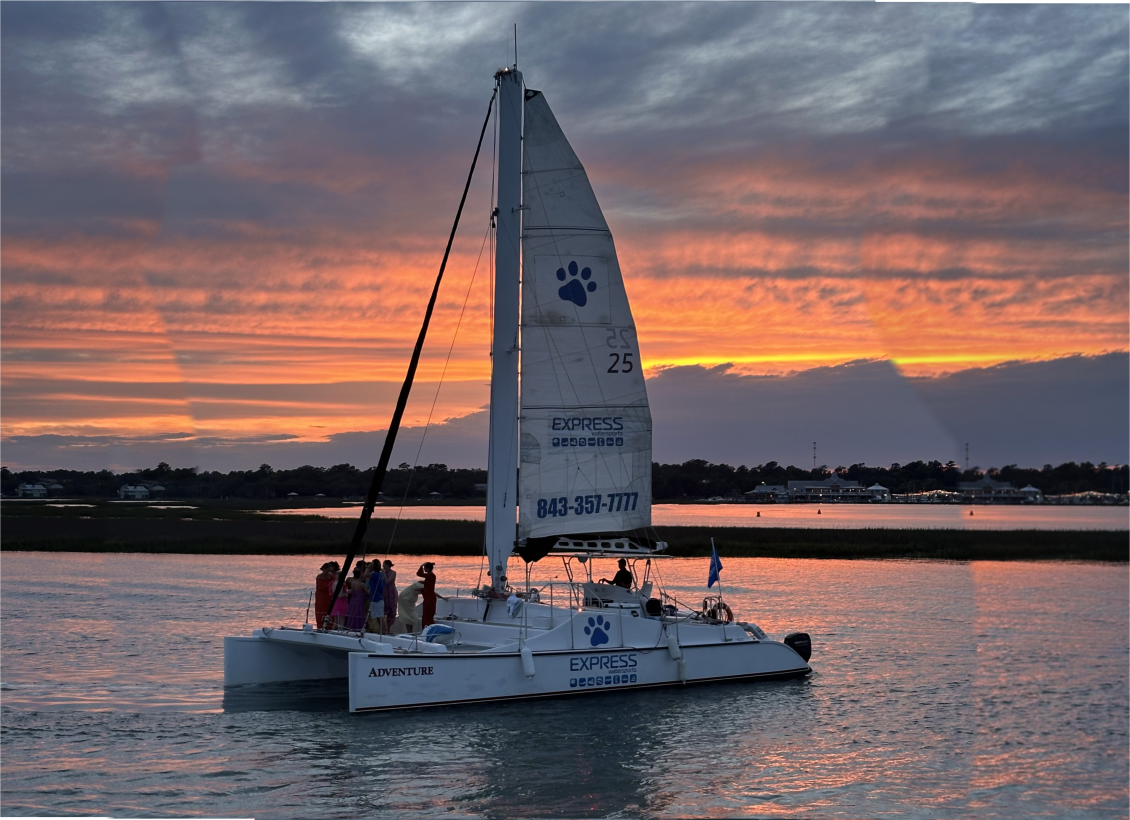 Cat at Sunset Extended