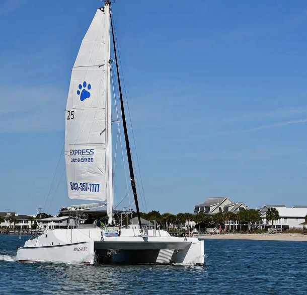 Guests at the sand bar beach stop during the Sand Bar & Beach Adventure sailing cruise
