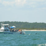 Family fun dolphin tour Myrtle Beach