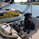 Dog friendly pontoon boat rentals in Murrells Inlet