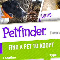 Petfinder Logo