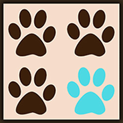 All 4 Paws Pawleys Island Logo