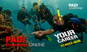 Divemaster Course Banner - Myrtle Beach Scuba Certification
