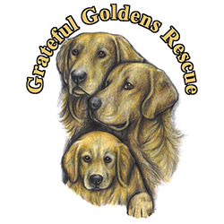 Grateful Goldens Rescue