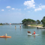 murrells-inlet-stand-up-paddle-board