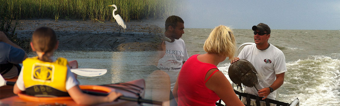 Murrells Inlet Field Trips