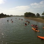 murrellsinletkayaktour
